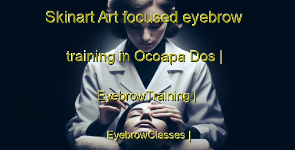 Skinart Art-focused eyebrow training in Ocoapa Dos | EyebrowTraining | EyebrowClasses | SkinartTraining-Mexico